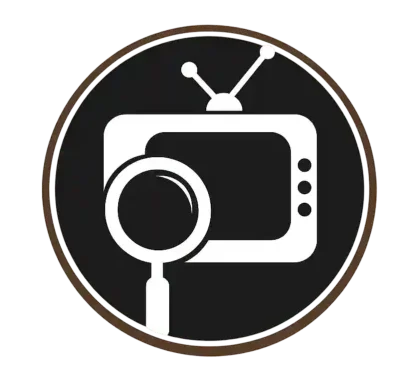 playfy tv logo